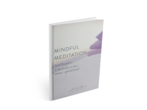 MIndful Meditation Guide